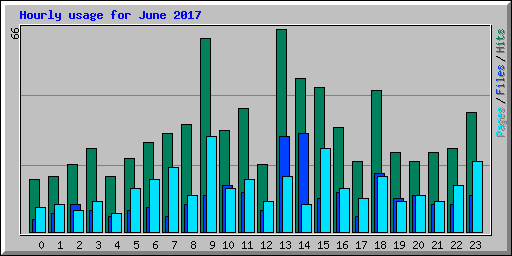 Hourly usage for June 2017